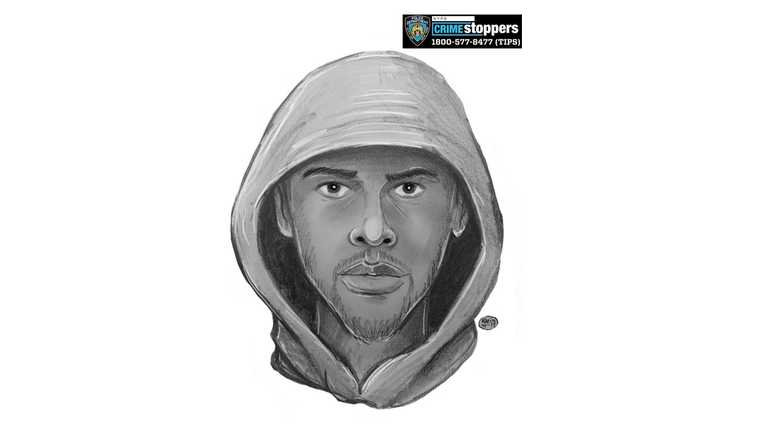 Suspect in Park Slope attempted rapes Suspect in Park Slope attempted rapes