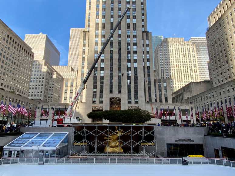 2019 Rockefeller Christmas tree 2019 Rockefeller Christmas tree