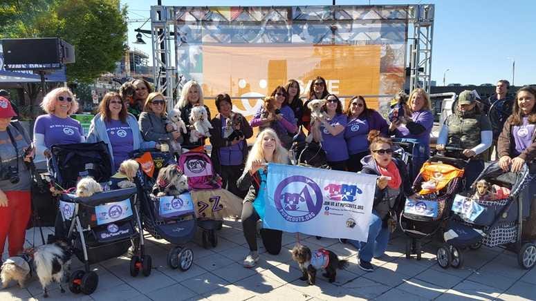 The Pup Scouts with Susan Richard and Bellamy Young (Photo: Susan Richard)