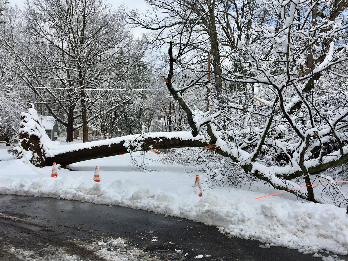 Tree has been down and blocking Macy Road in Westchester since last Saturday.