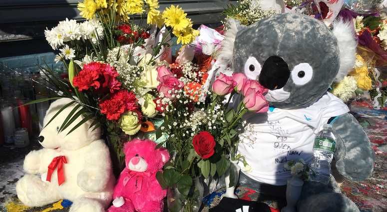 A memorial grows to Lesandro Guzman Feliz, 15, who was stabbed to death in the Bronx. A memorial grows to Lesandro Guzman Feliz, 15, who was stabbed to death in the Bronx.