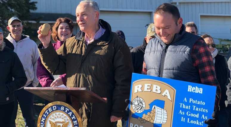 Chuck Schumer potatoes Chuck Schumer potatoes