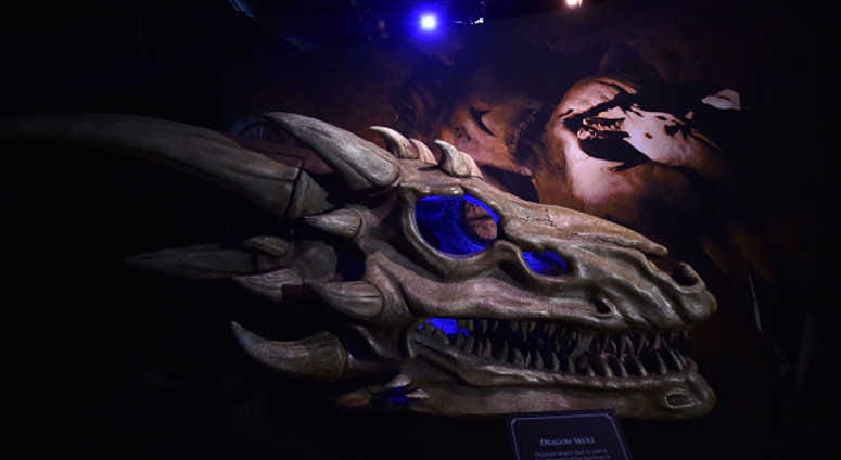 Dragon skulls can be seen on display at the Game Of Thrones: The Touring Exhibition Dragon skulls can be seen on display at the Game Of Thrones: The Touring Exhibition