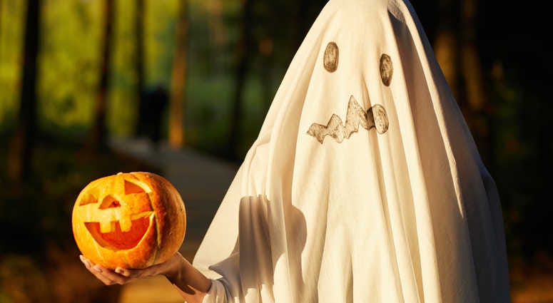 DIY Ghost Costume