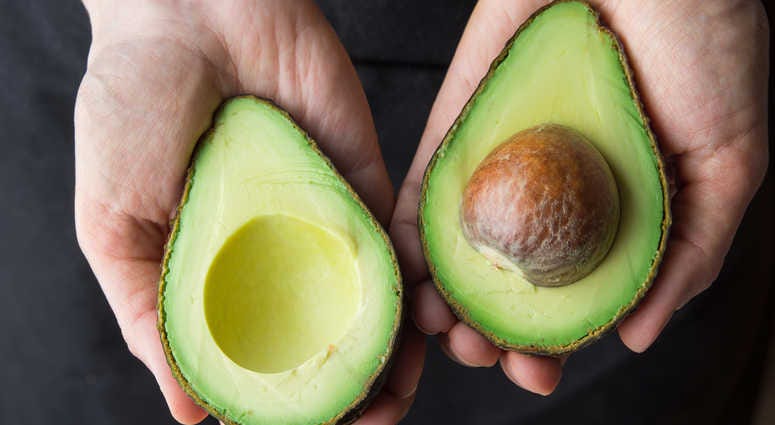 Avocado Avocado