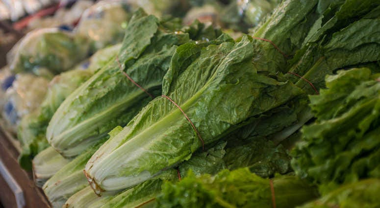 Leafy greens Leafy greens
