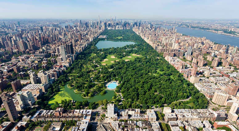 Central Park NYC