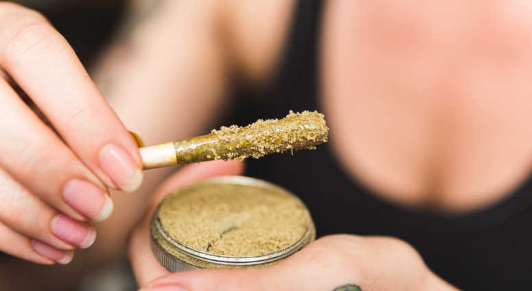 Woman holding a cannabis or marijuana joint in her hand. Joint is dipped in oil or wax and sprinkled with kief Woman holding a cannabis or marijuana joint in her hand. Joint is dipped in oil or wax and sprinkled with kief
