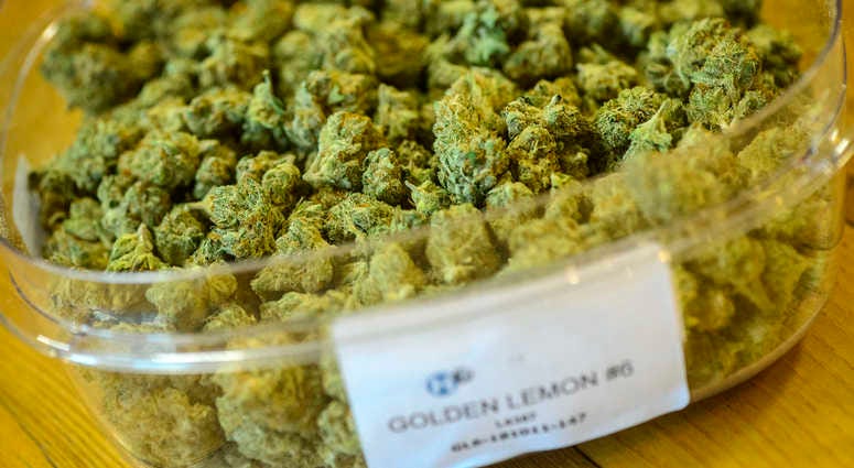 Marijuana Marijuana