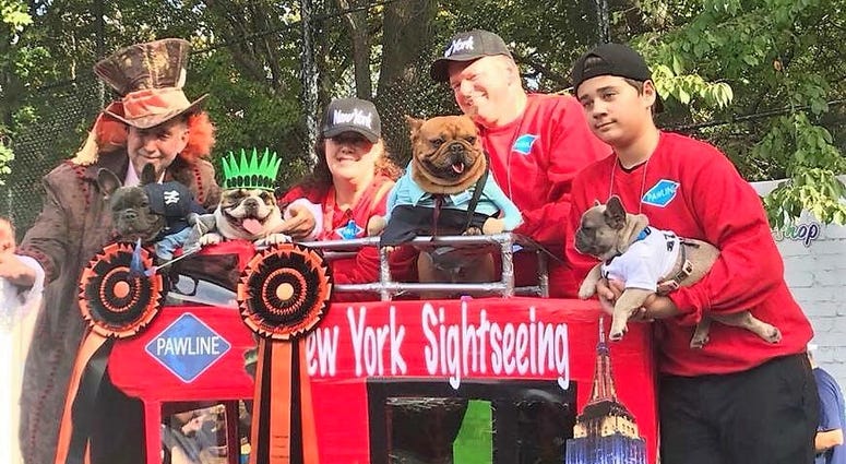 Tompkins Square Park Halloween Dog Parade 2017 (Photo: Summer Strand)
