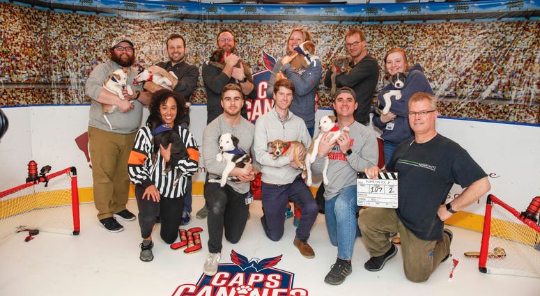 Team photo! Caps Puppy Playoffs