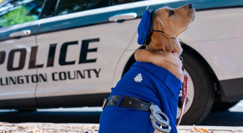 Freeze! It's the pawlice! Capitals Dog Captain