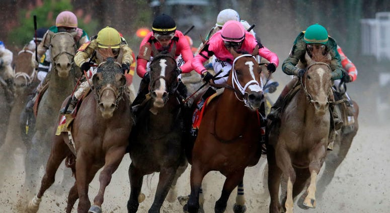 War of Will runs in the Kentucky Derby. Who will win the 144th running of the Preakness Stakes?