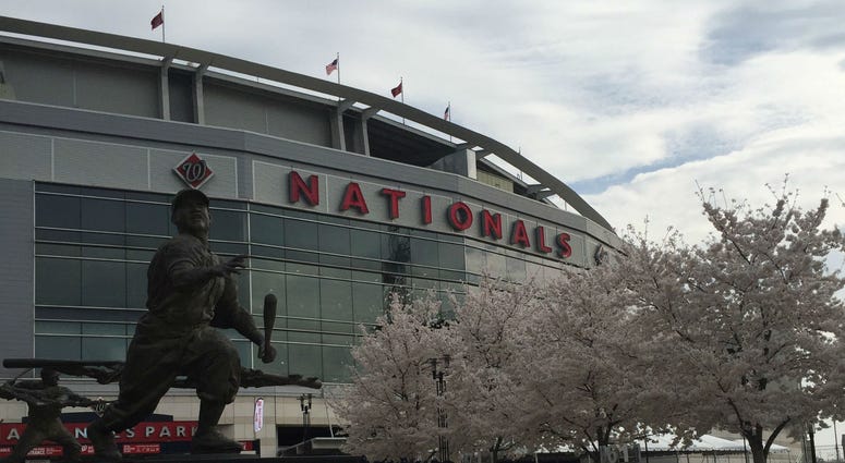 Spring weather at Nationals Park. Spring has sprung at Nats Park.
