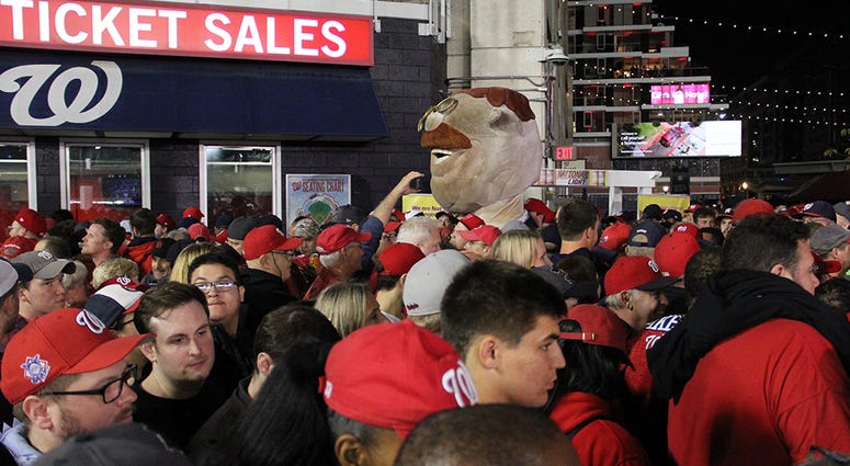 No special treatment at Nationals Park... not even for Racing President's. Teddy, one of the Racing President's at Nationals Park, walks the crowded concourse at Nationals Park during Game 4 of the World Series.