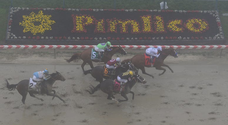 Justify edges out the competition during the Preakness Stakes Justify_Preakness_Stakes