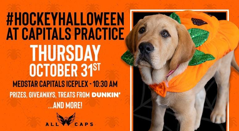 You are cordially invited to 'Hockey Halloween' at MedStar Capitals Iceplex on Oct. 31 Caps Captain Dog