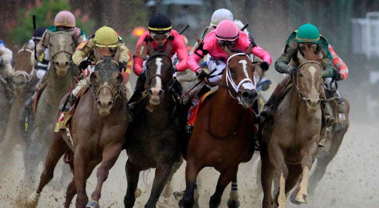War of Will runs in the Kentucky Derby. Who will win the 144th running of the Preakness Stakes?
