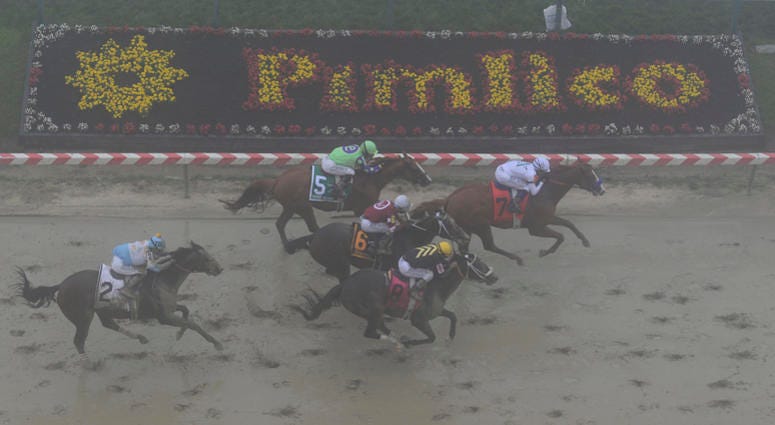 Justify edges out the competition during the Preakness Stakes Justify_Preakness_Stakes