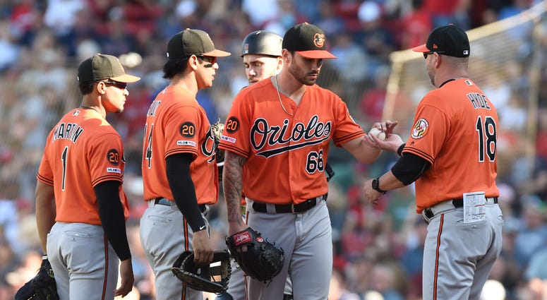 Orioles Orioles