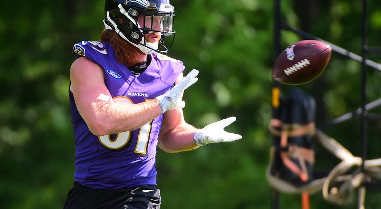 NFL: Baltimore Ravens-Minicamp Jun 12, 2018; Owings Mills, MD, USA; Baltimore Ravens tight end Hayden Hurst (81) catches a pass during minicamp at the Under Armour Performance Center. Mandatory Credit: Evan Habeeb-USA TODAY Sports