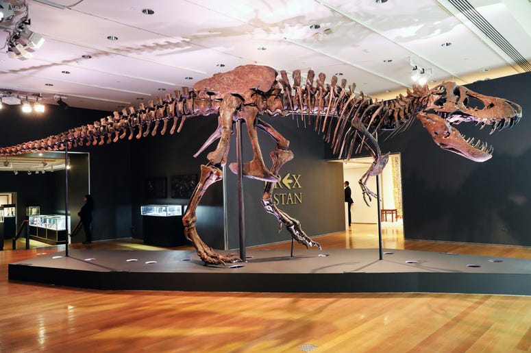 TREX