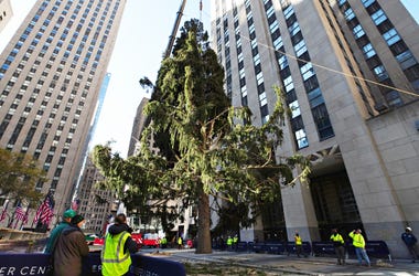 ROCKEFELLER CENTER CHRISTMAS TREE