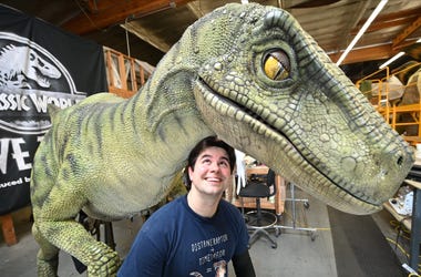 Universal Studios Has A "Jurassic World" Watch Party Friday Universal Studios Has A "Jurassic World" Watch Party Friday