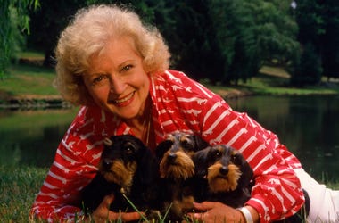 Betty White To Star In Lifetime Christmas Movie Betty White To Star In Lifetime Christmas Movie