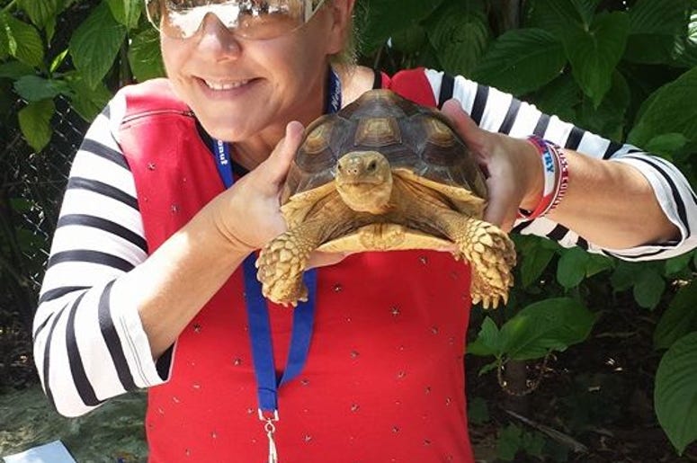 Darlene Evans With a Turtle