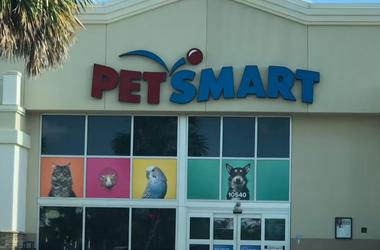 Free Picture Of Pets With Santa At Petsmart Free Picture Of Pets With Santa At Petsmart