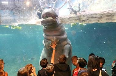 Teachers Get Free Admission To Miami Seaquarium In October Teachers Get Free Admission To Miami Seaquarium In October