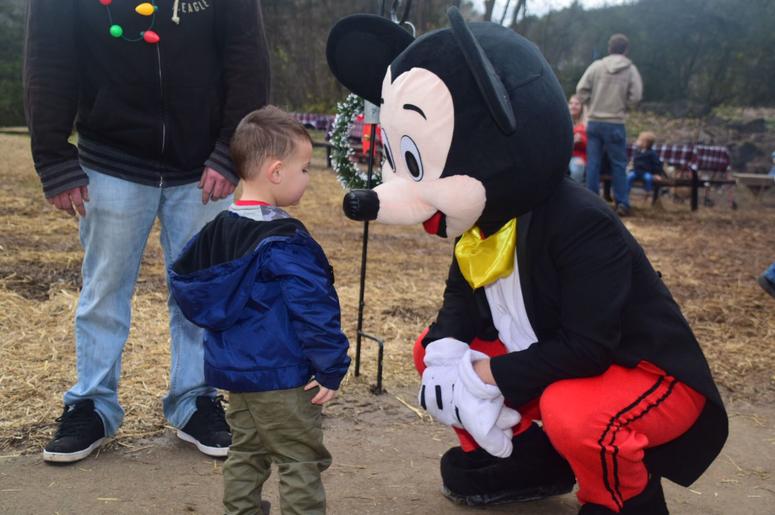 Disney World Increases Annual Passholder Price Disney World Increases Annual Passholder Price