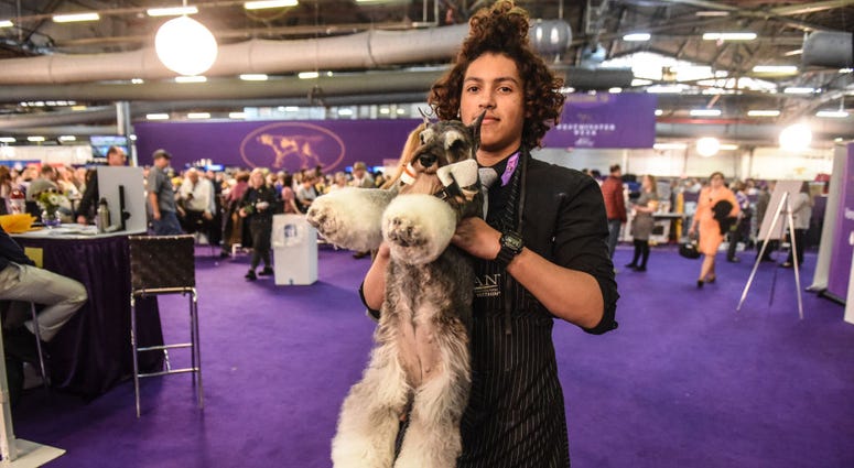 144th annual Westminster Kennel Club Dog Show
