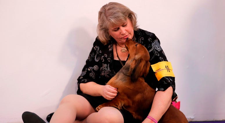 144th Annual Westminster Kennel Club Dog Show