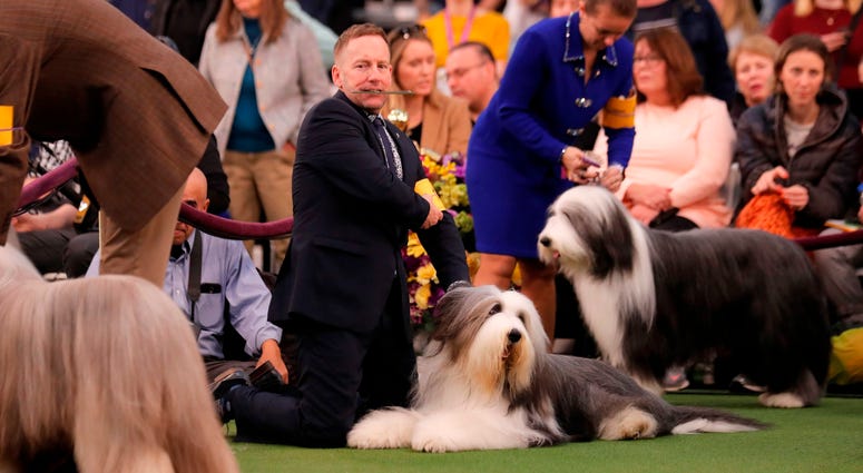 144th Annual Westminster Kennel Club Dog Show