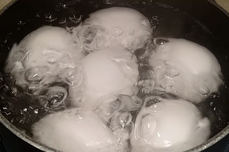 Manic Marc's PERFECT Hard Boiled Eggs