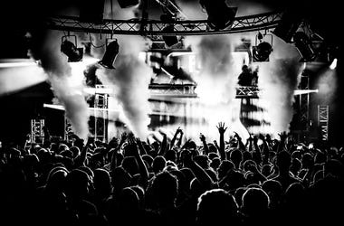Concert Crowd