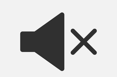 Phone on Mute