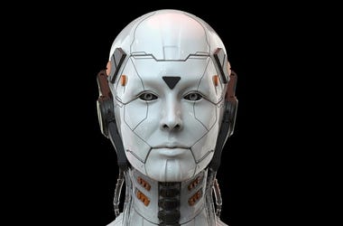 Robot