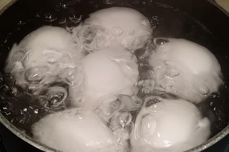 Manic Marc's PERFECT Hard Boiled Eggs