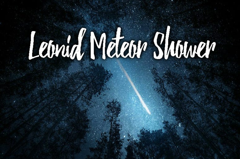 Leonid Meteor Showe