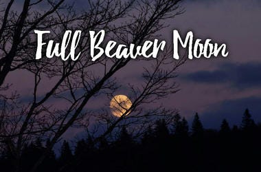 Full Beaver Moon