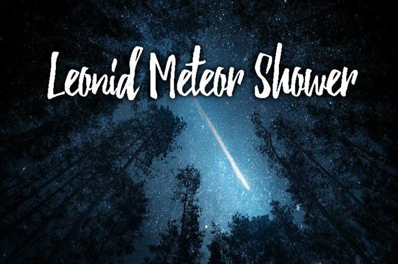 Leonid Meteor Showe