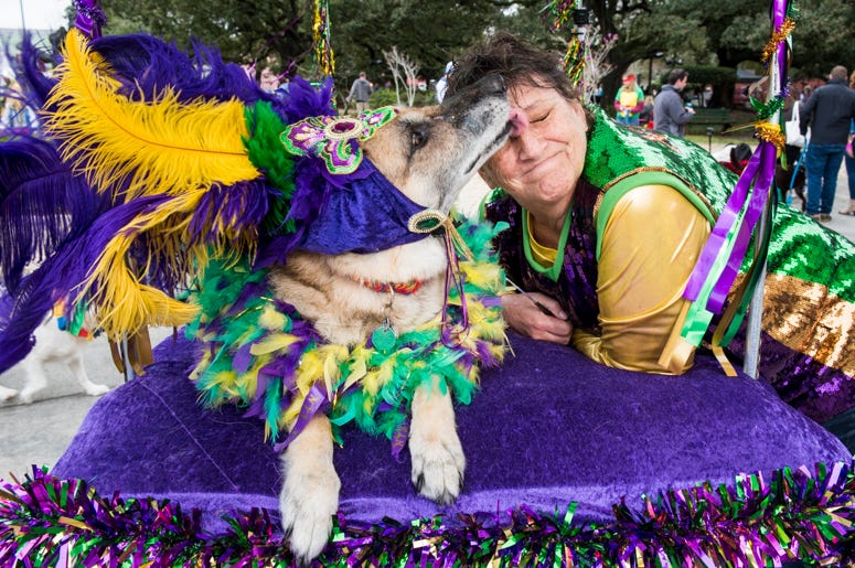 Barkus