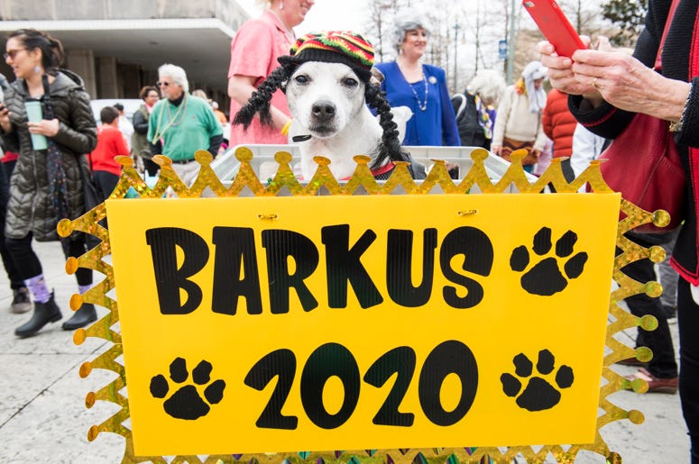 Barkus