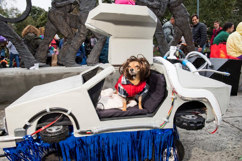 Barkus