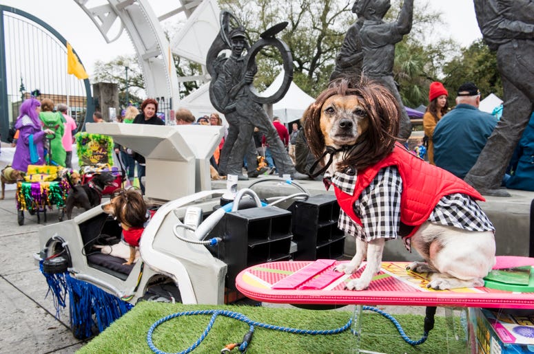 Barkus