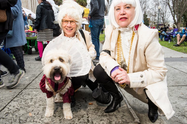 Barkus