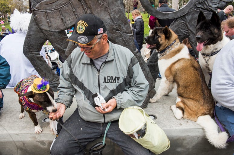 Barkus